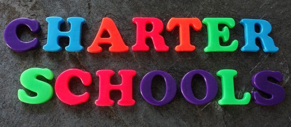Public Charter School Policy Service